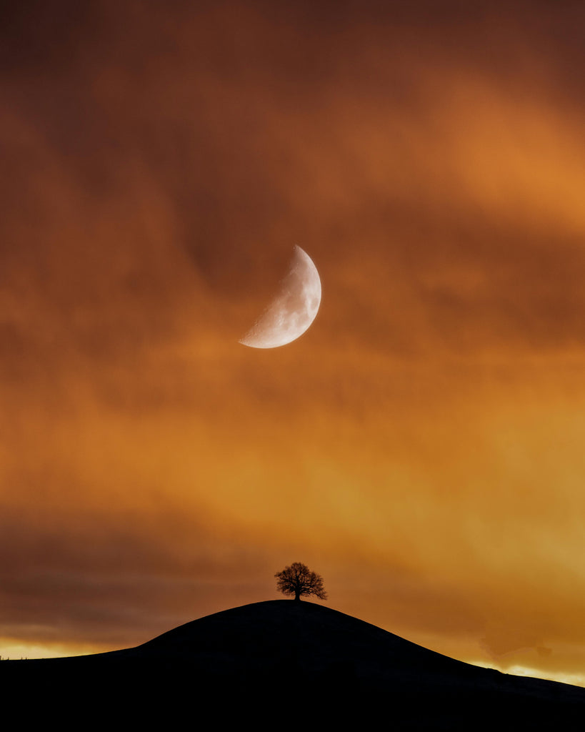 girl and moon